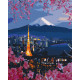 Malowanie po numerach Brushme "Podróżowanie w Japonii" 40x50 cm