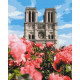 Malowanie po numerach Brushme "Katedra Notre Dame" 40x50 cm