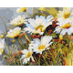 Malowanie po numerach Brushme "Truskawki w stokrotkach" 40x50 cm