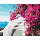 Malowanie po numerach Brushme "Kwiaty z Santorini" 40x50 cm